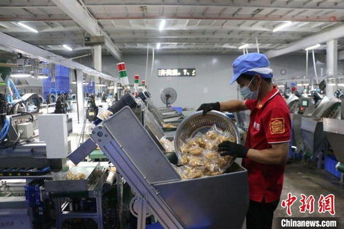 機器人引領螺螄粉產業新革命 廣西螺螄粉廠全自動包裝生產線助力618供貨翻倍